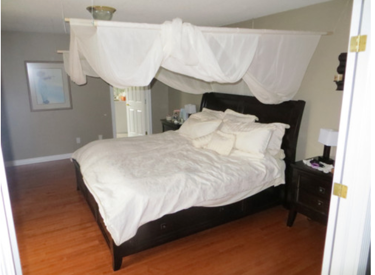 Swiss Shield EMF Bed Canopy Naturell with canopy up